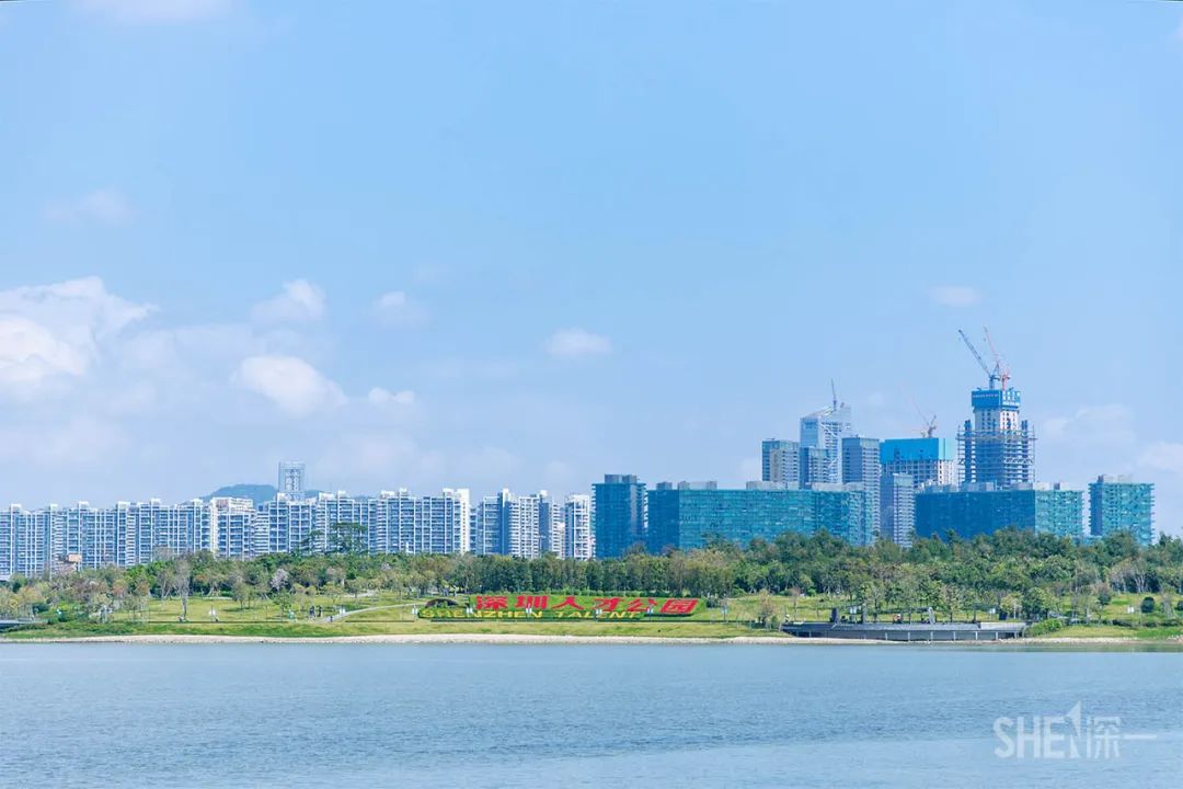 深圳商场爆满,深圳为什么商场那么多