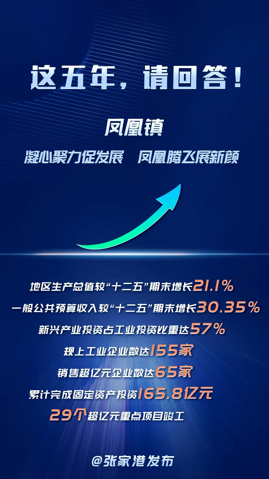 潮州市凤凰腾飞茶叶,凤凰腾飞祥瑞降临
