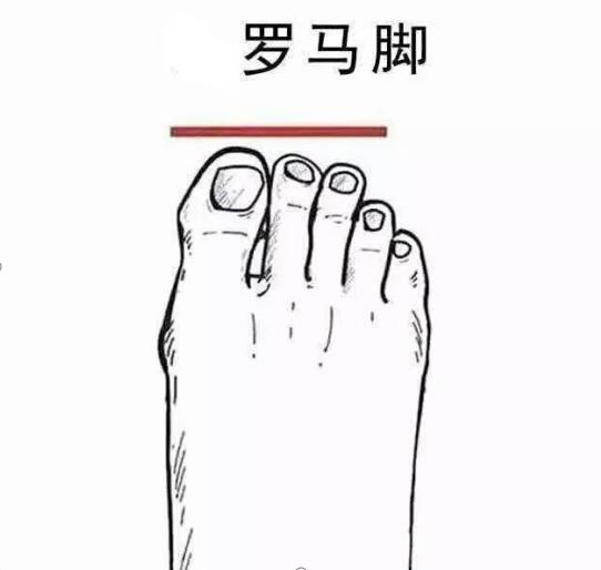 最好看脚型埃及脚,埃及脚希腊脚哪种脚型好