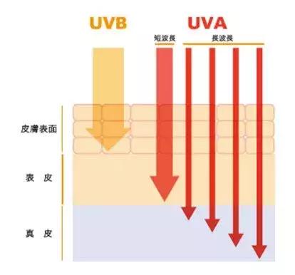 防晒霜排行榜第一名真实测评,45款防晒霜的评测结果终于出来了