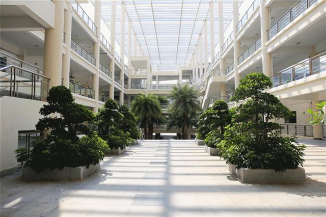 很多人挤破脑袋都想进的学校,万千学子挤破脑袋都要进大学