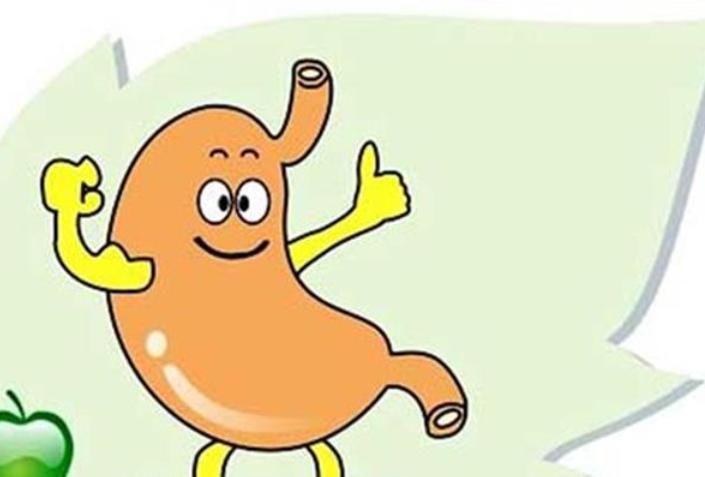 调胃养胃修复胃哪些食物最好,老年人胃不好吃什么食物是养胃的