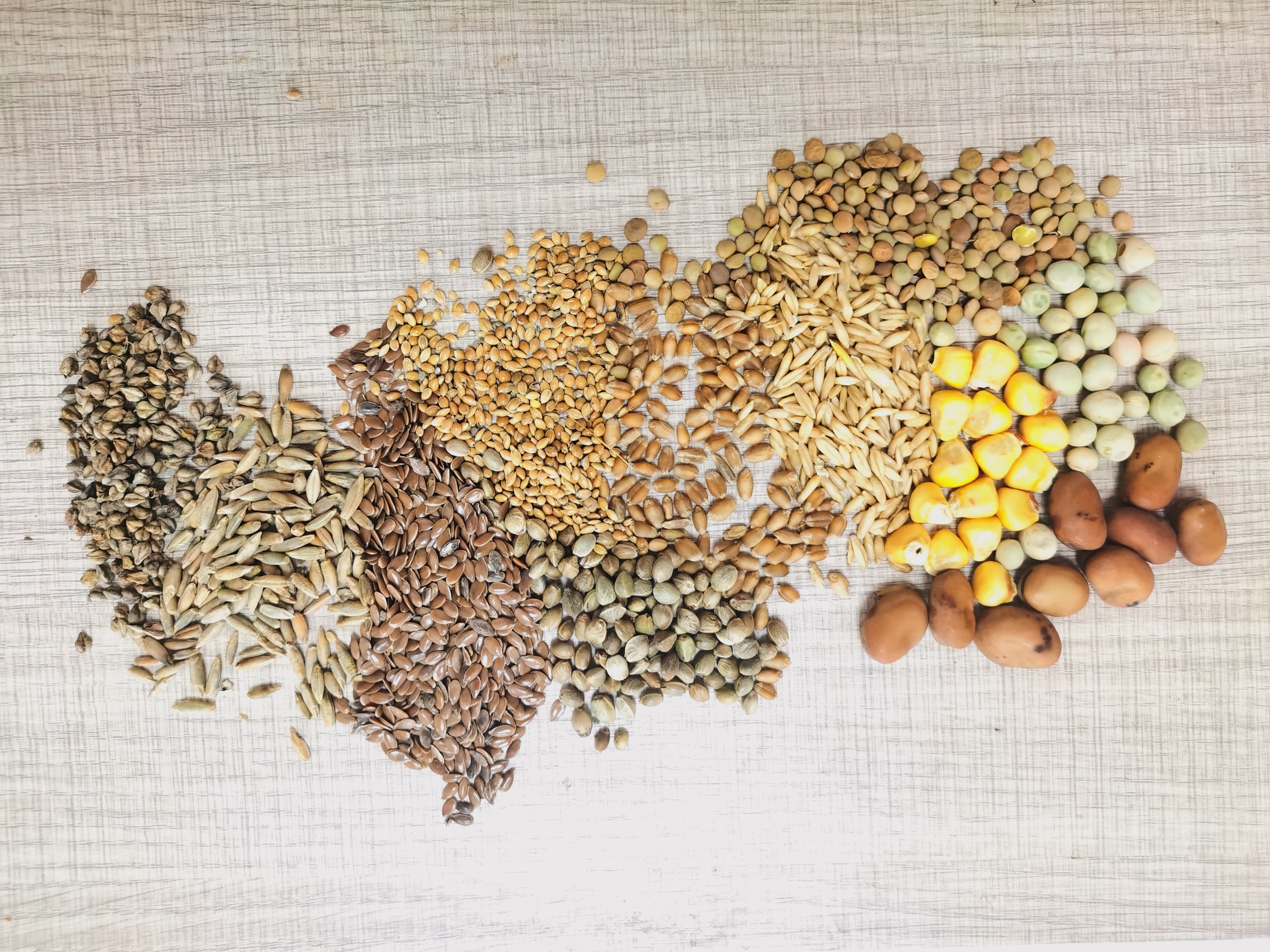 甘肃会宁有什么好的地方,会宁县地域文化特色