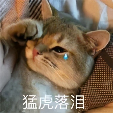 看牙太贵可以买什么保险,泰康牙齿险