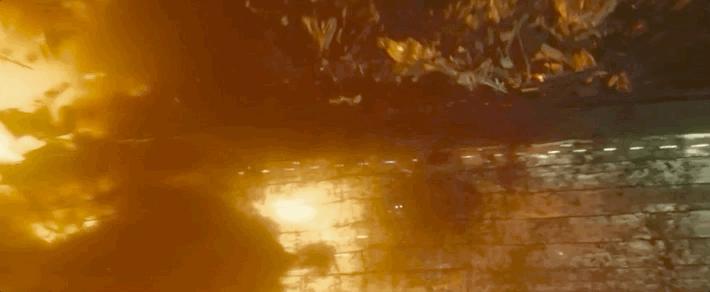 你好，请收下这份12月看片不踩雷指南