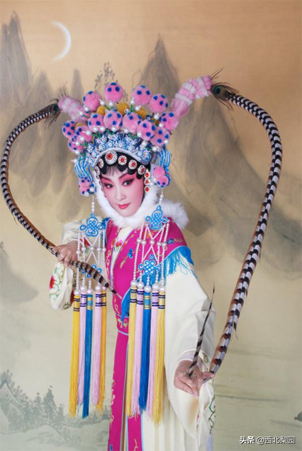 易俗社王曼抖音,易俗社秦腔全部名家