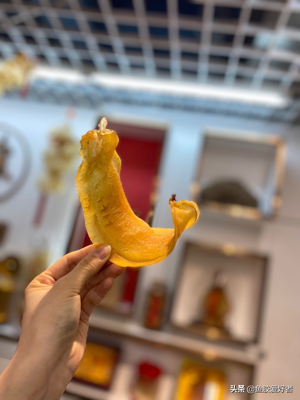 赤嘴鳘鱼胶颜色深好还是浅好,赤嘴鳘鱼胶有哪些种类