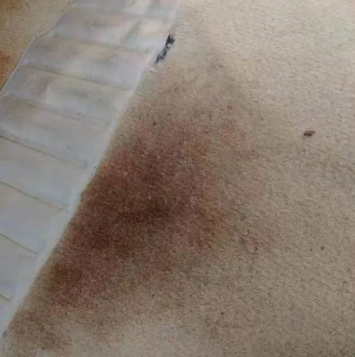 10年的丰田锐志二手车价格多少钱,12年丰田锐志的优点和缺点