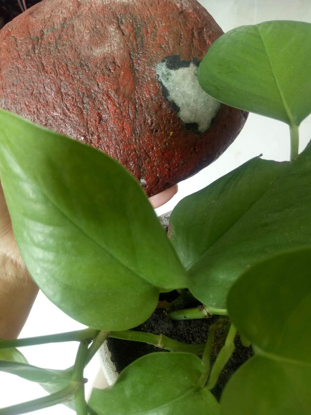 原创诗词缘分,石缘诗词