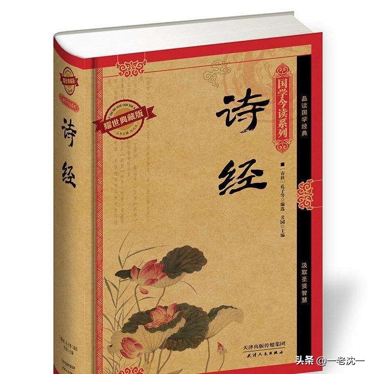 皇字的起源资料,皇字的解析