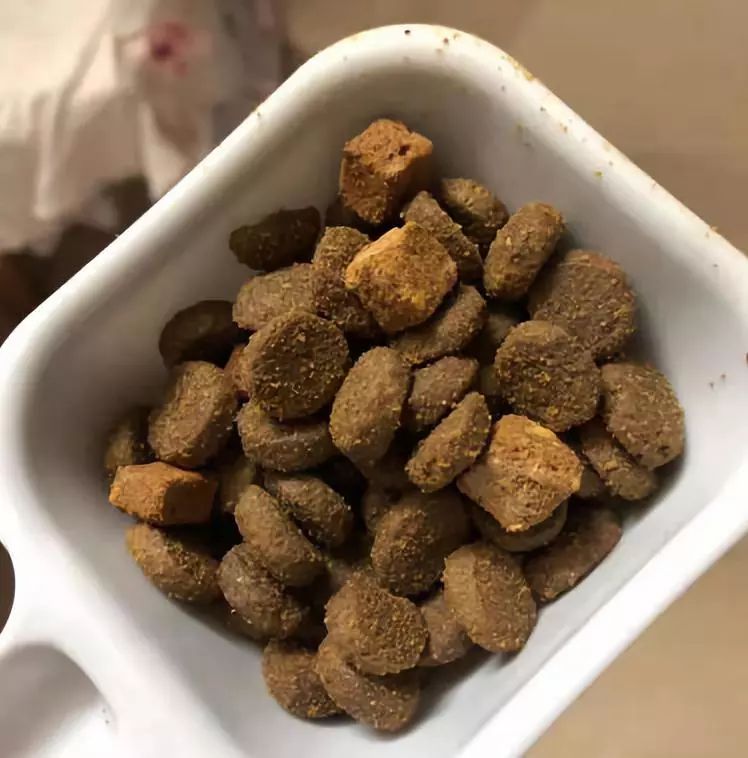 家有狗子,家有狗子视频完整版