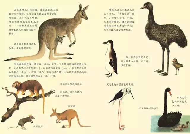 法国旅行图画书,旅行绘图书