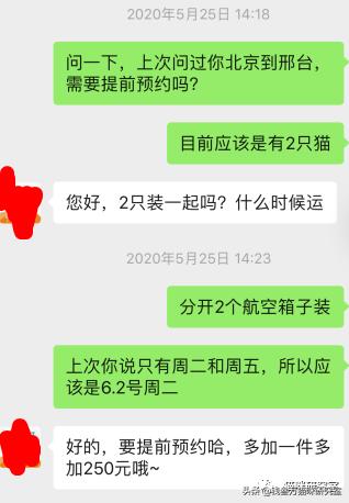 宠物托运全过程狗狗,宠物托运全过程国外