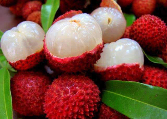 5月份的季节适合吃的水果有哪些,5月水果当季有哪些水果