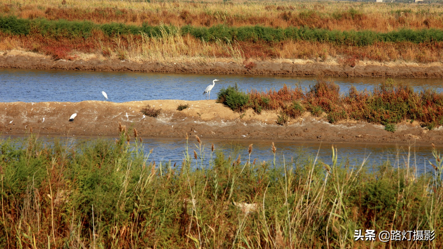 山东半岛最后一片黄金海岸，金沙银滩，海鸥翩舞，真正的世外桃源