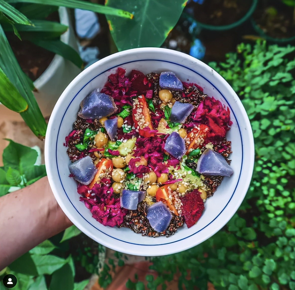 外国妹子冲进肯德基泼血怒吼：吃肉是大*杀屠**！网友们：有病？