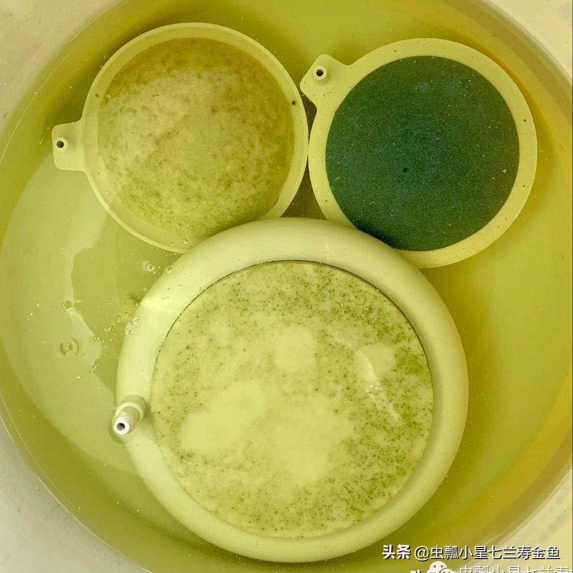 鱼缸纳米气盘好还是普通气泡石好,怎么清理纳米气盘