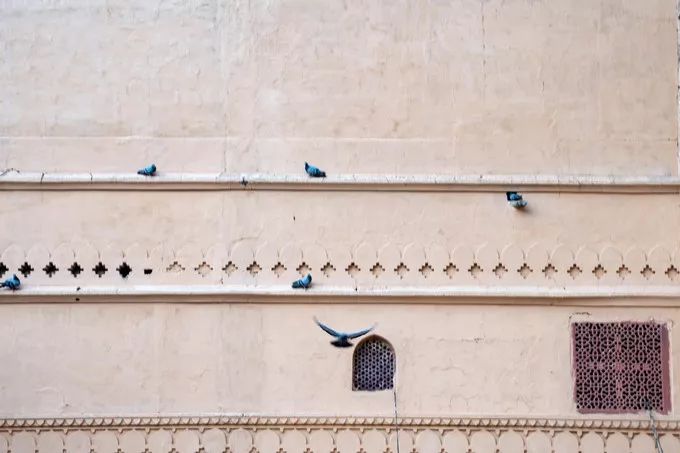 印度最豪华的电影院,印度粉红色之城