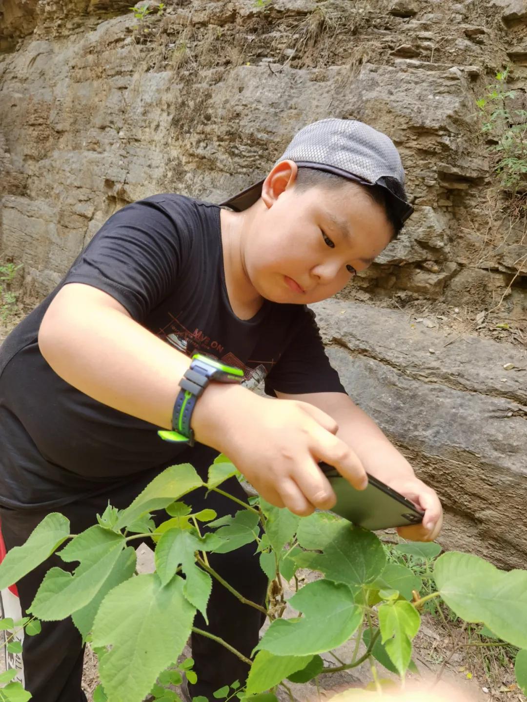 济南张家界自驾游路线推荐攻略,藏在济南市区的世外桃源