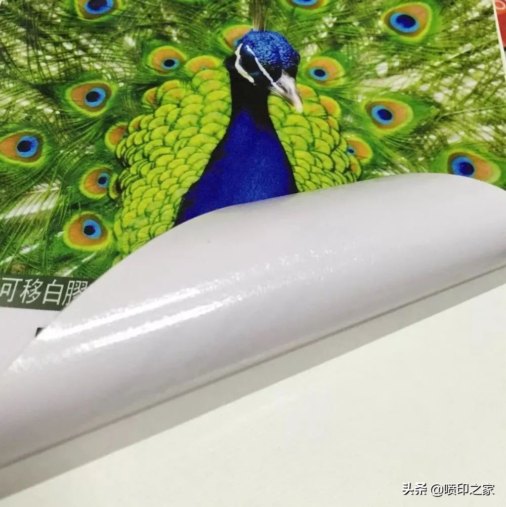 短期车贴广告,短期主题展示项目