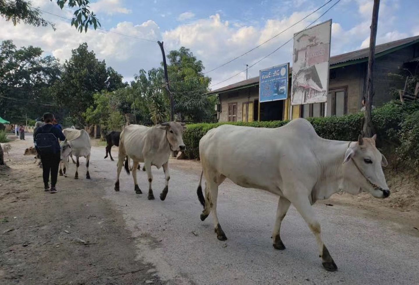 一起来看看我的旅途中看到的缅甸