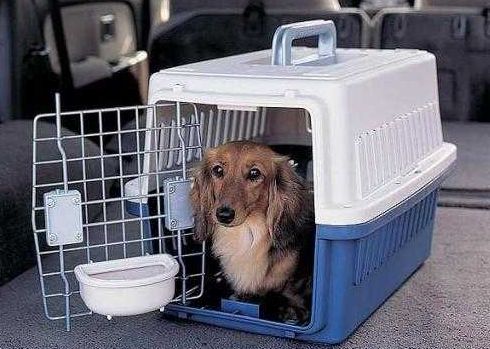 letsgo带你去兜风,letsgo旅行视频