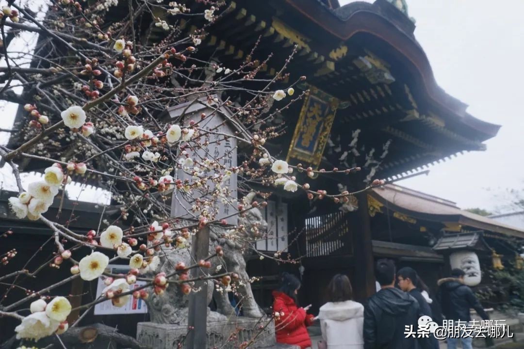 日本大阪京都自由行攻略大全,大阪京都奈良旅游攻略自由行