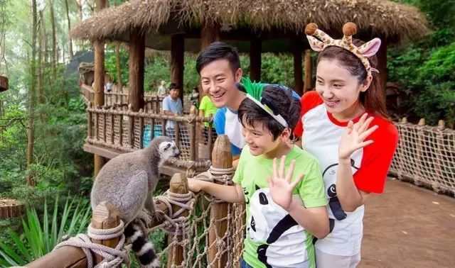 广州长隆野生动物世界游览图,广东广州长隆野生动物世界