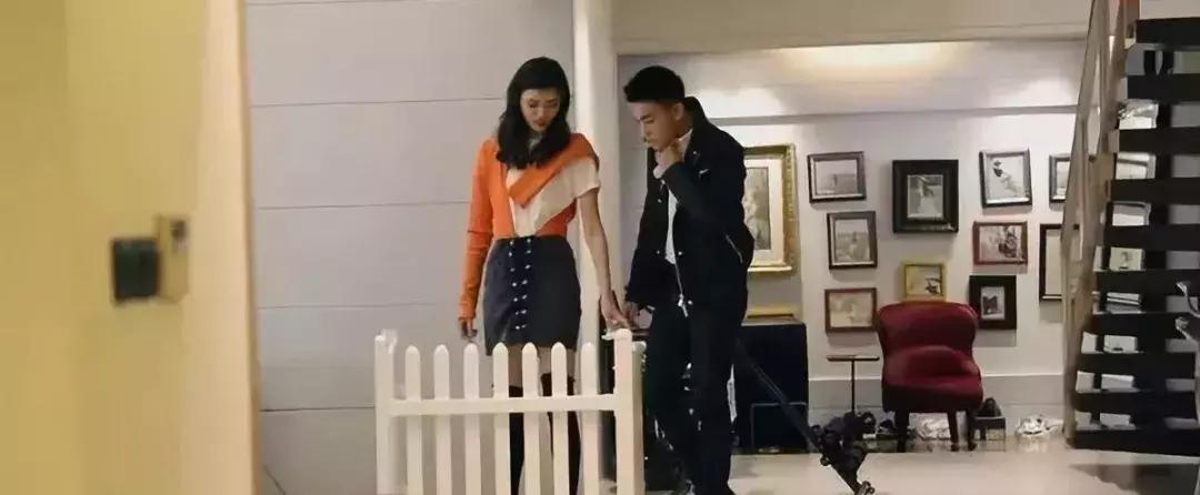 老佛爷的猫继承多少遗产,老佛爷去世了猫继承了多少遗产