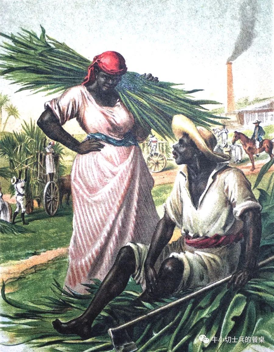 《食史百味》蔗中精炼滋味甜，背后浸透奴隶苦：砂糖的历史