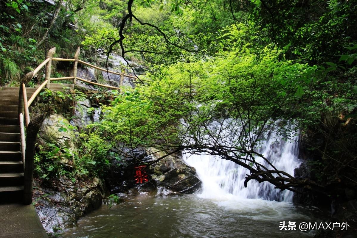开启你的天然氧吧洗肺之旅,富氧洗肺好去处