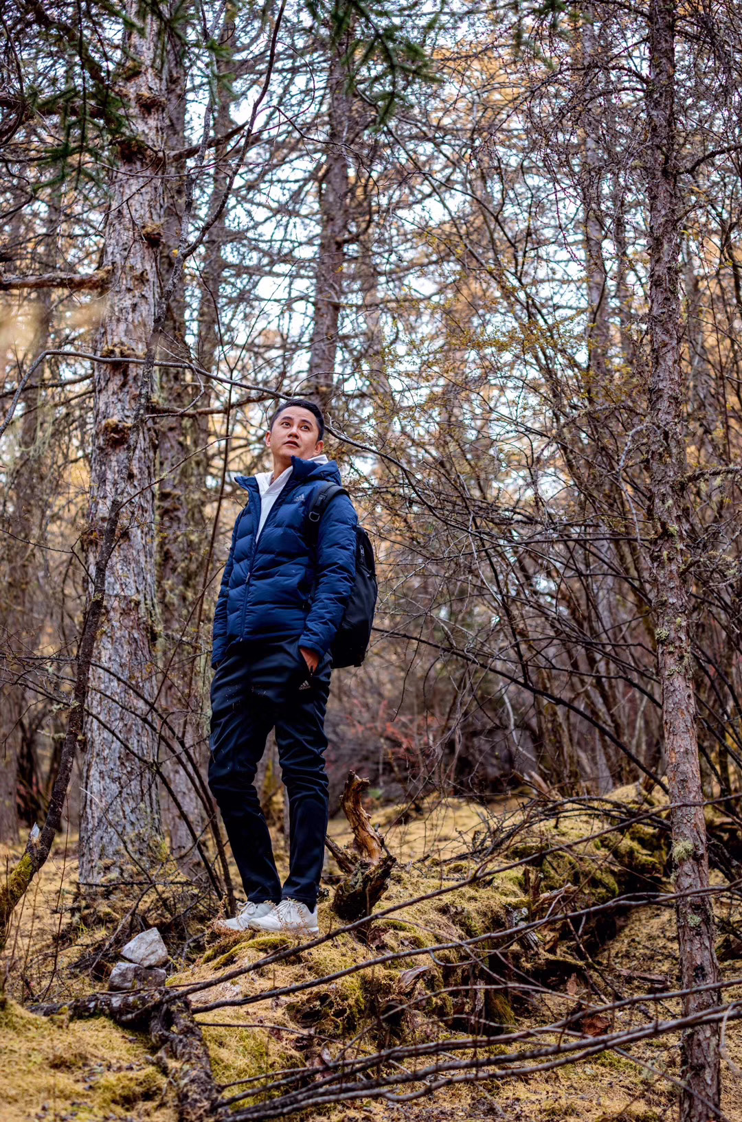 稻城亚丁出新政策，4种情况享受免票，神山下的风光是世外仙境