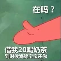 预算50元可以买什么好玩的,50元以下适合学生党买的蜥蜴