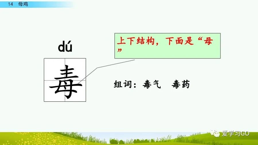 部编版四年级下册15课白鹅解析,部编版四下语文第13课母鸡预习