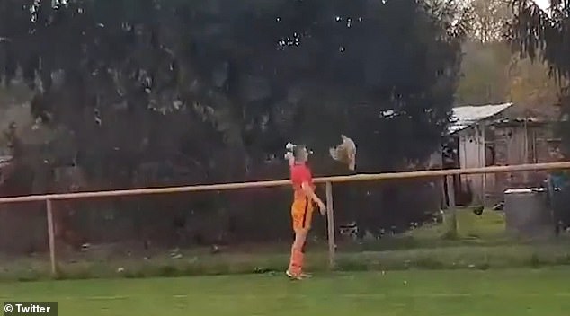 足球运动员脚力有多强,足球运动员脚力