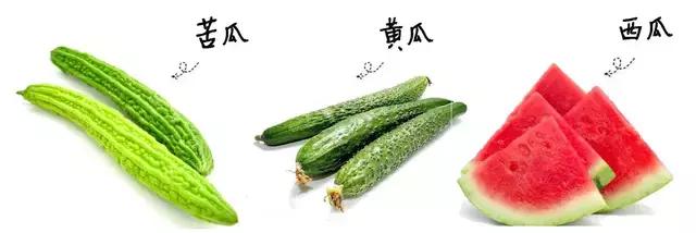 从出汗部位看健康情况,各部位出汗健康对照表