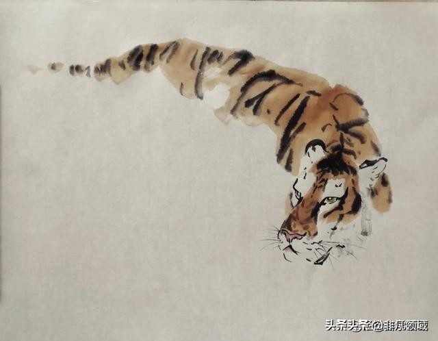 国画老虎画法步骤图,国画老虎画法步骤图解