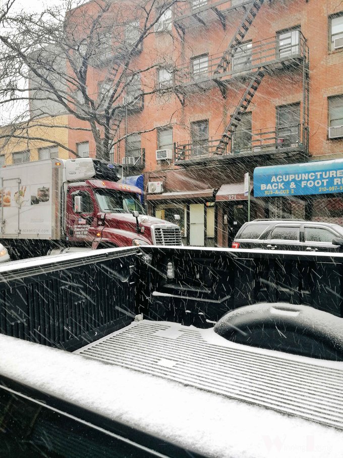 现实版未来之城纽约中央公园,纽约中央公园和北京奥体森林公园