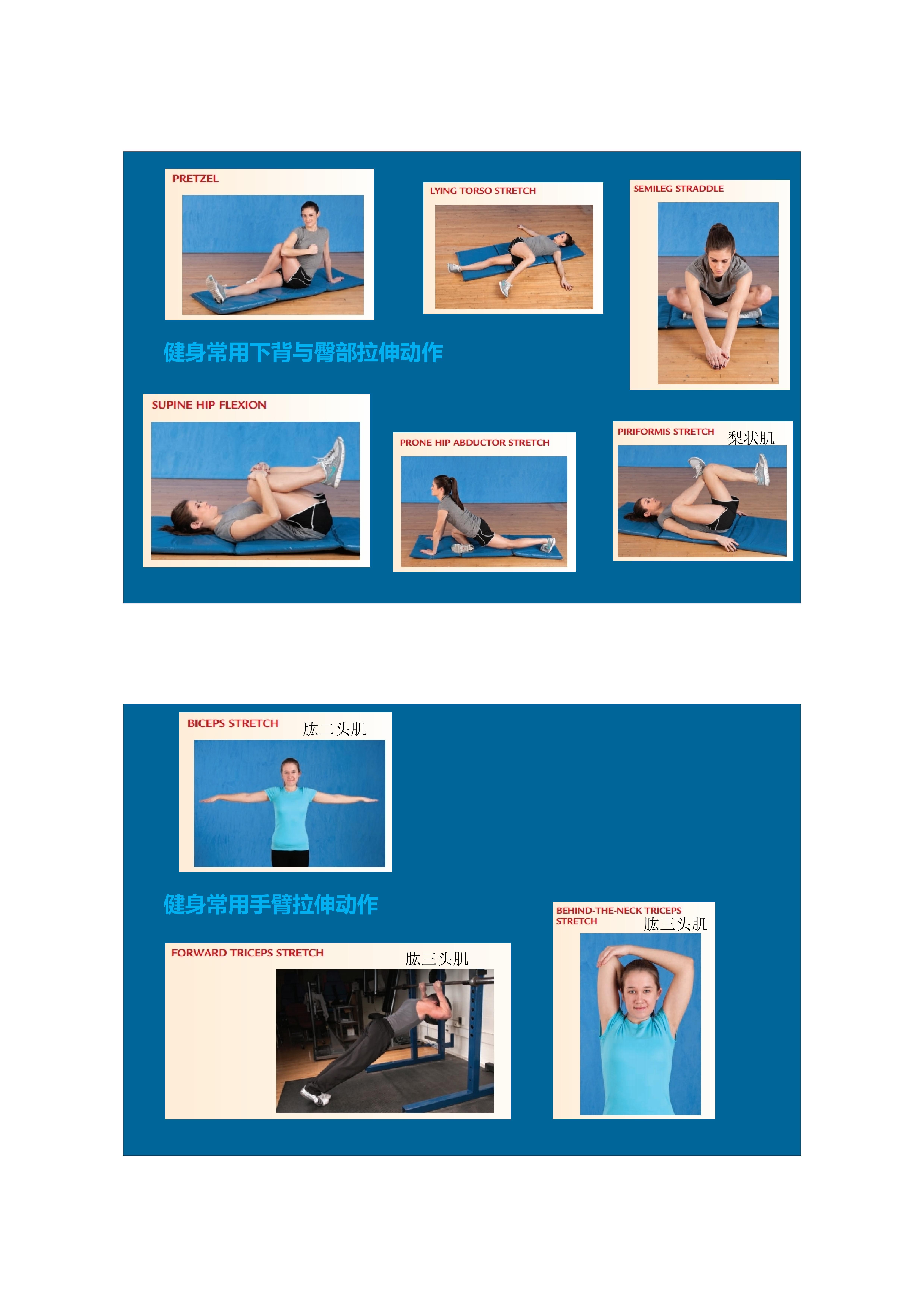 拉伸动态块制作技巧,泰式后背拉伸技巧视频