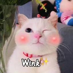 木纹砖只能装修成原木风吗,木纹砖能装修吗