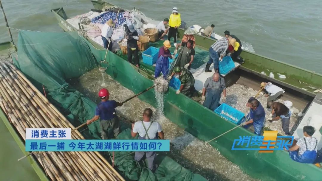 直击太湖开湖现场！鲜美湖鲜大量上市，资深吃货准备好了吗？