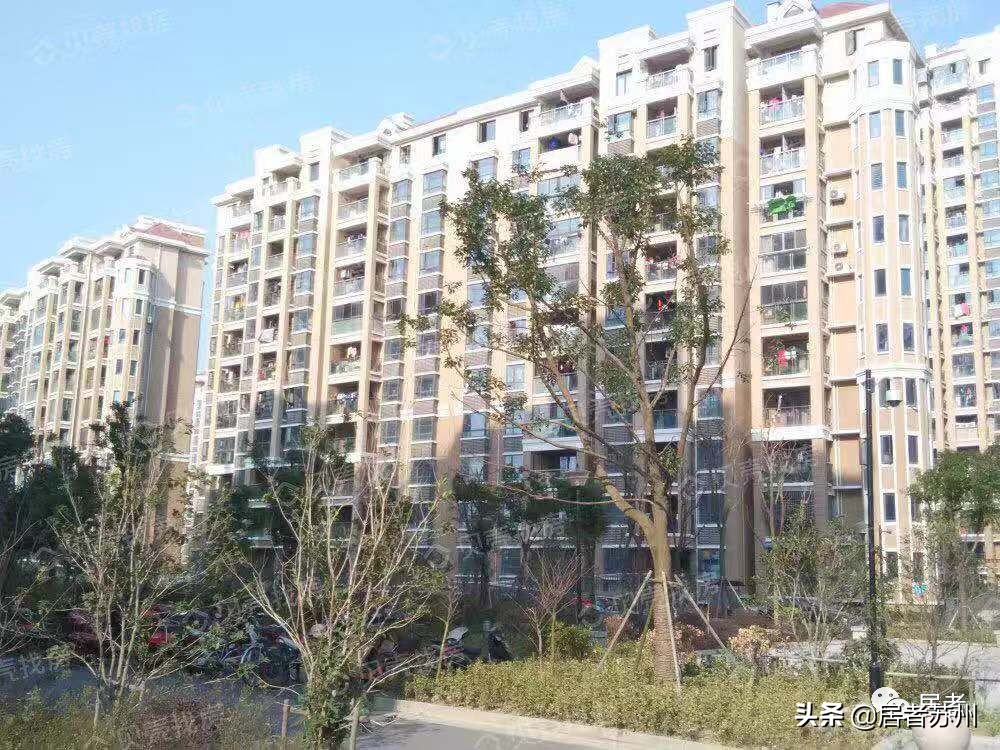 人才房一般房价是多少,园区1字头人才房怎么买