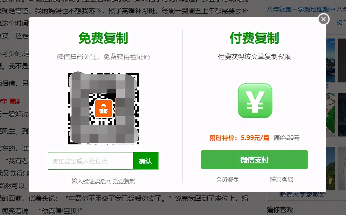 最划算的冷门二手车网站,冷门的国内网站排名前十