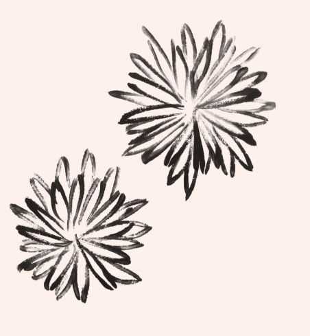 国画菊花的叶子画法步骤入门,梅兰竹菊国画菊花初学者怎么用笔