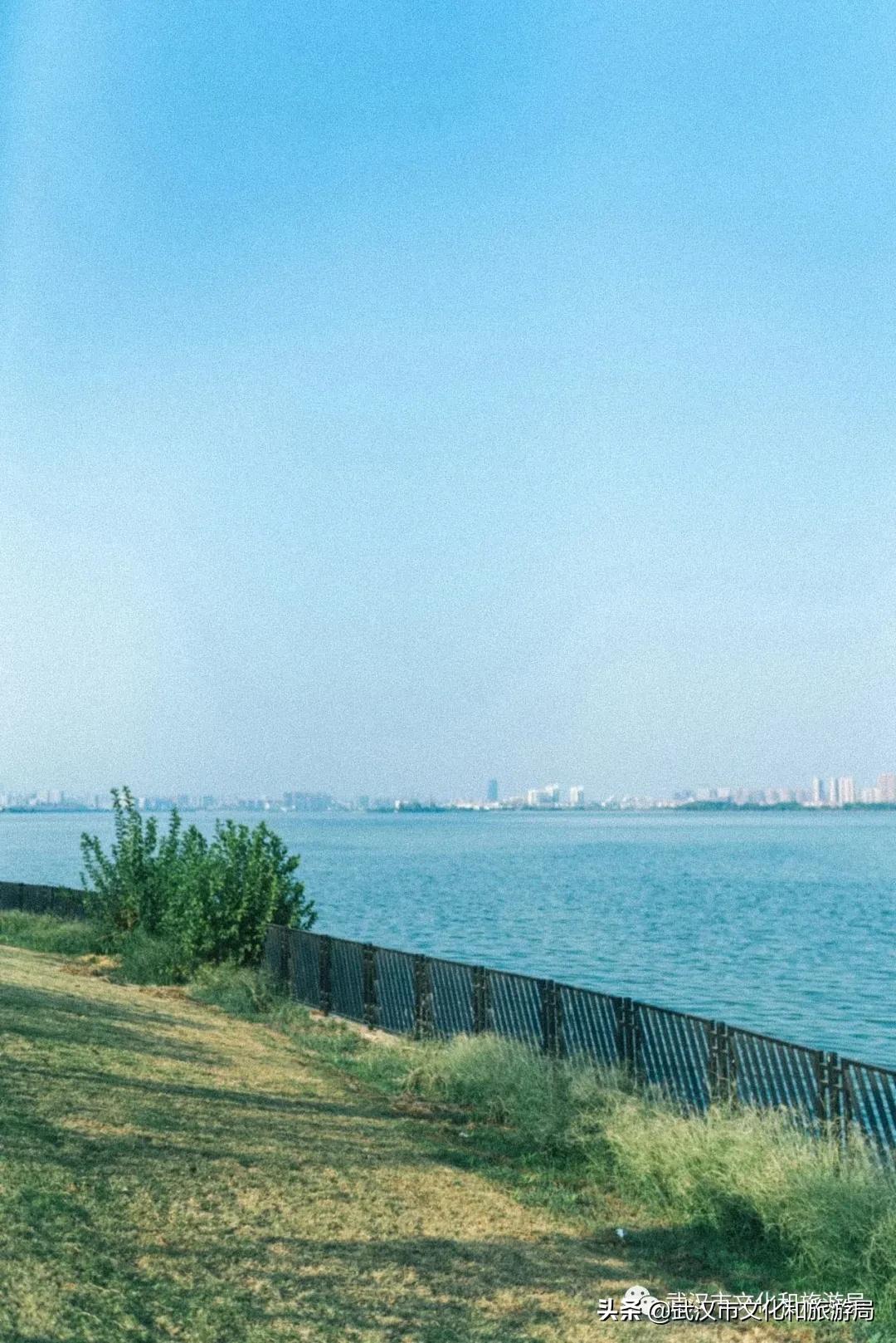 江夏面积多大,关于最美江夏的图片