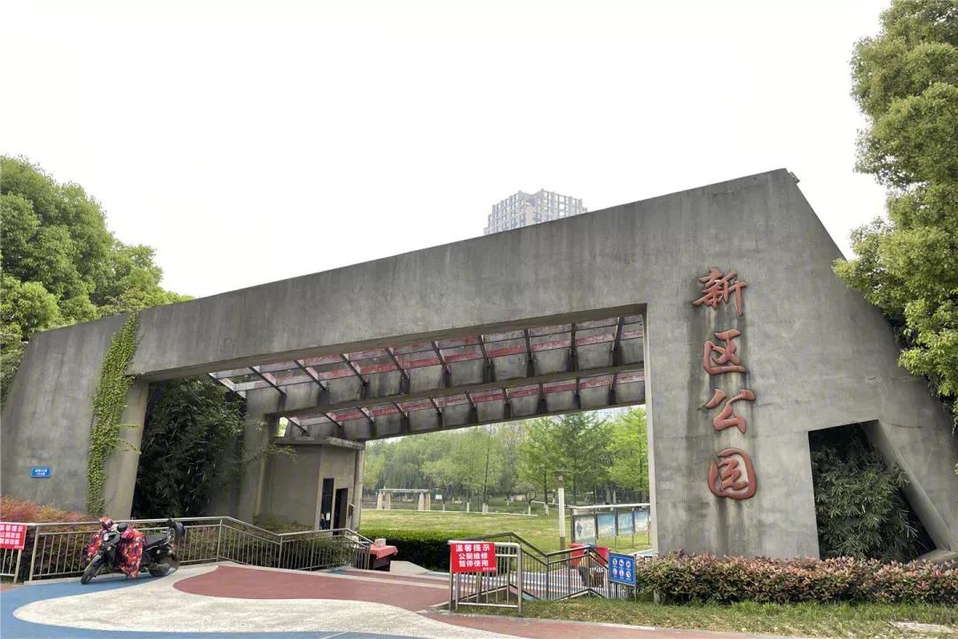 逼死对手？又一个放风价低于隔壁的搅局者来了