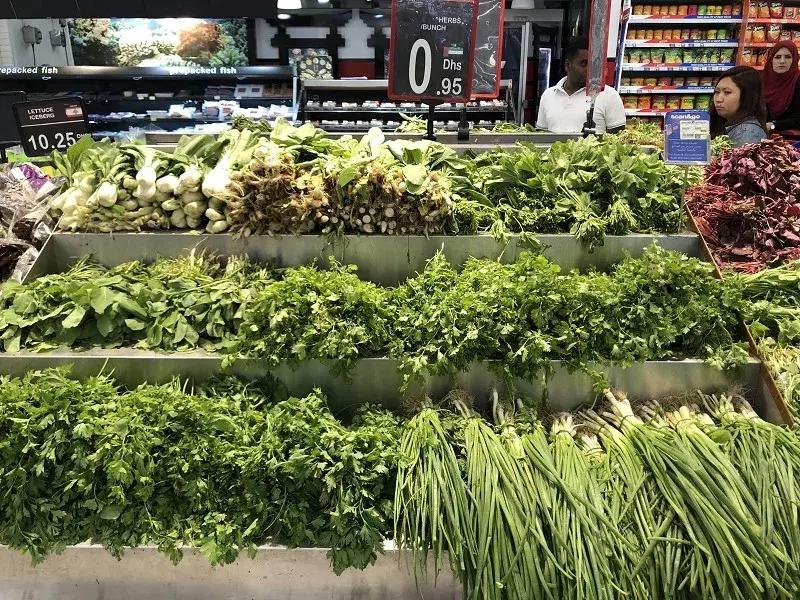 在迪拜生活的有多好,在迪拜普通人打工生活消费高吗