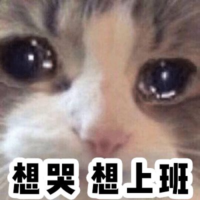 10元以内的好物假睫毛,10块一盒假睫毛