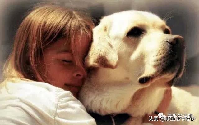 狗狗舔舌头,狗狗用舌头舔我表示生病了吗