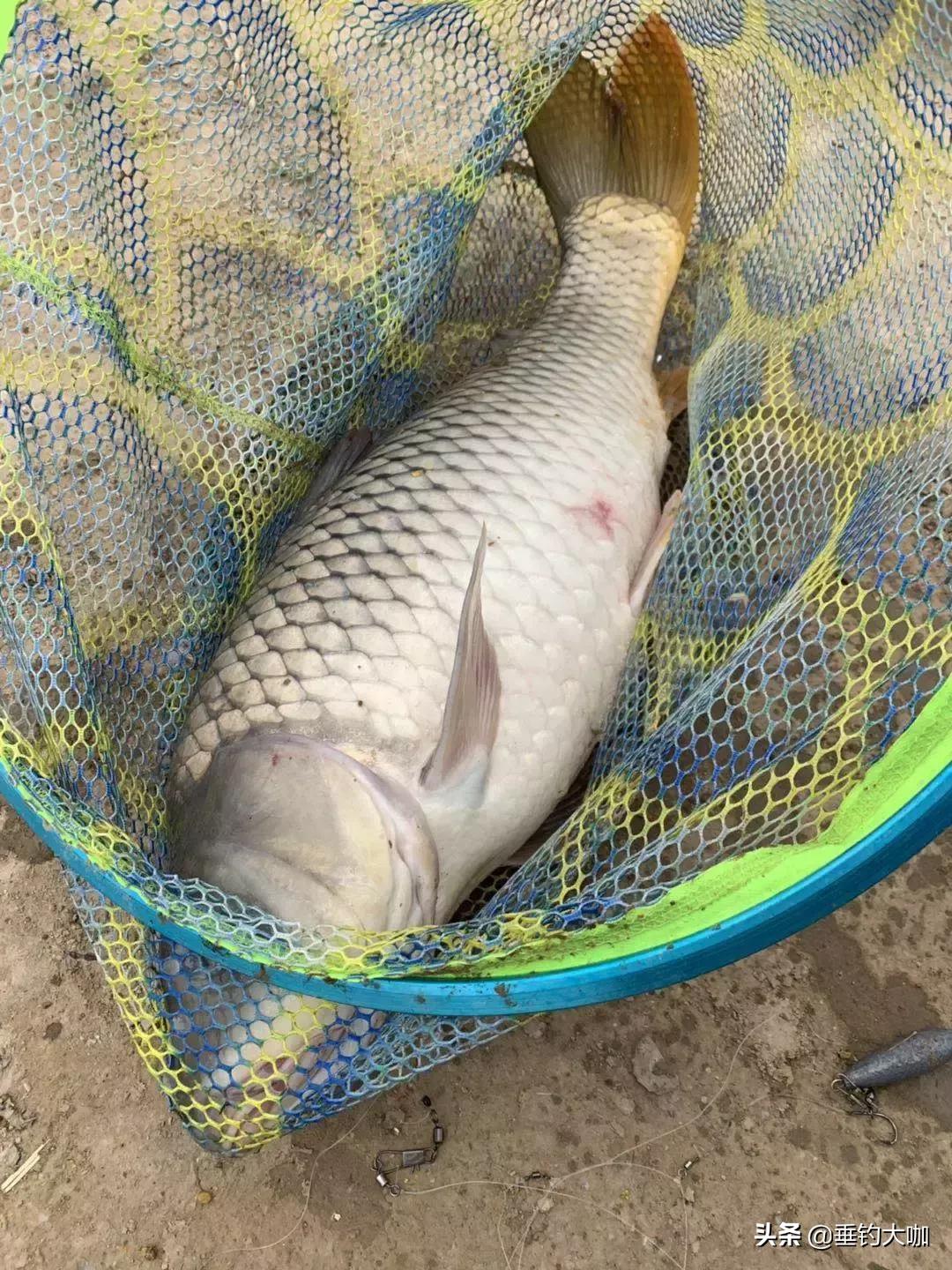 在家没事制作钓鱼浮漂,没事自己制作一根钓鱼竿